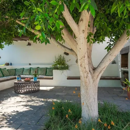 Finca Botanico Secret Garden - A45468 度假居 Guatiza